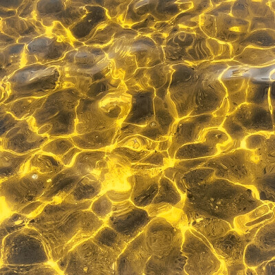 ㅤㅤ