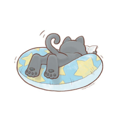 炎炎夏日里，趴在游泳圈上看书的猫咪