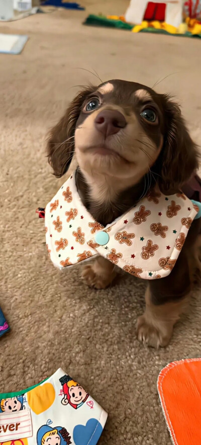 壁纸