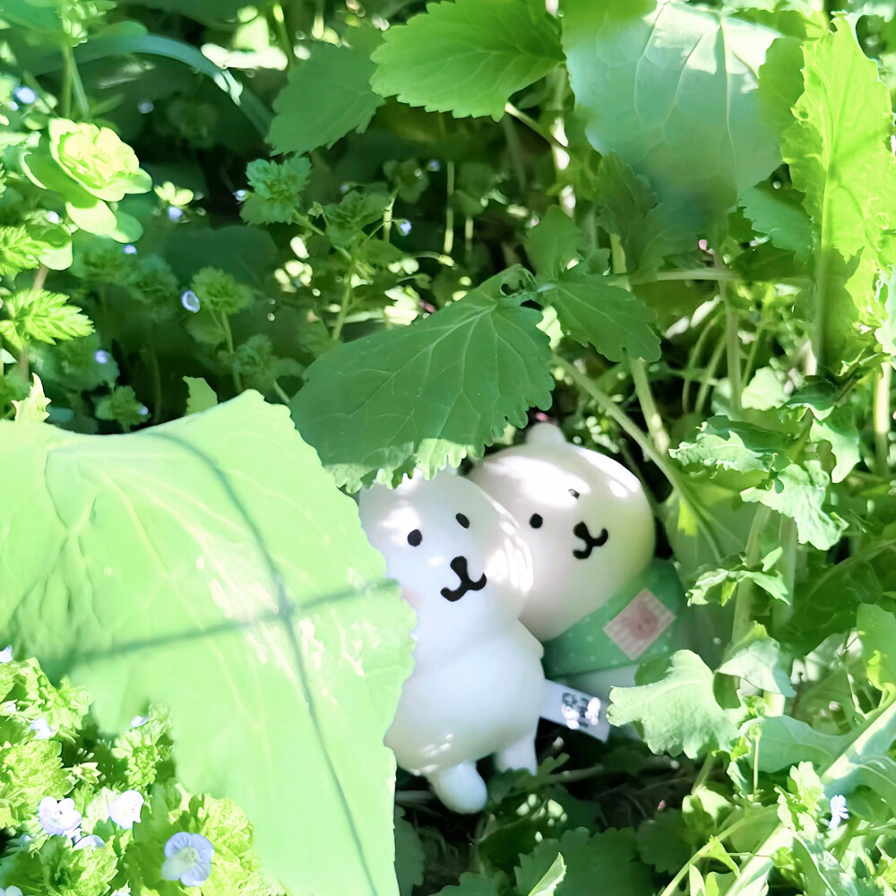 캘린더의 모든 페이지 ：日历的每一页