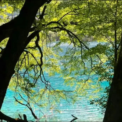 背景图
