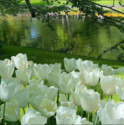 背景图