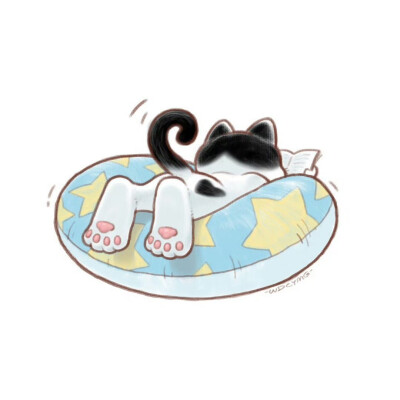 炎炎夏日里，趴在游泳圈上看书的猫咪