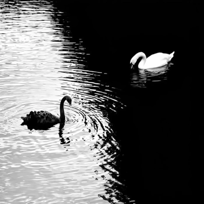 “国王游戏。I am king.”