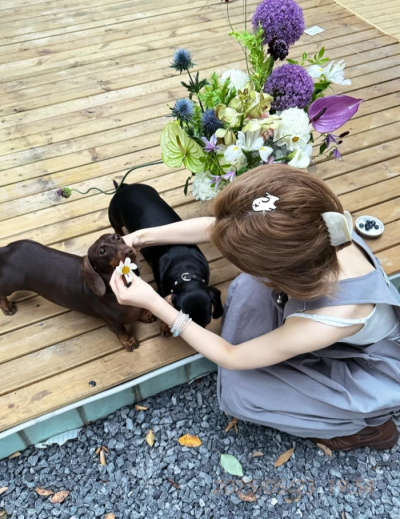 砸露思也是杀回来了