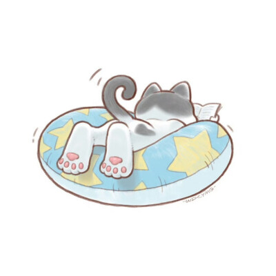 炎炎夏日里，趴在游泳圈上看书的猫咪