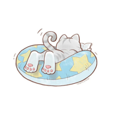 炎炎夏日里，趴在游泳圈上看书的猫咪
