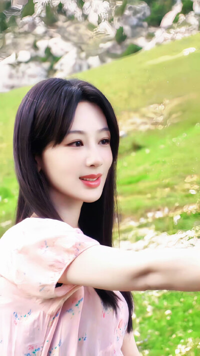 杨紫