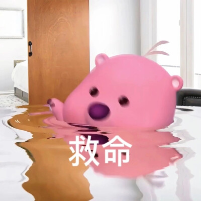 loopy表情包