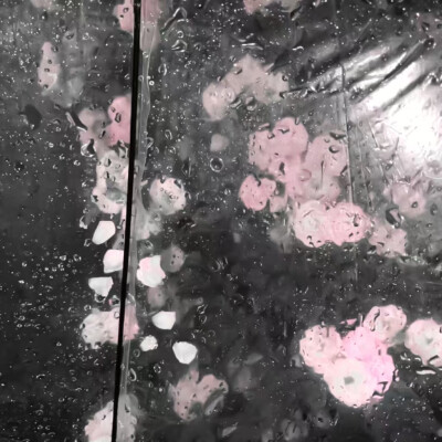 怪我树枝太高宝宝的美美的ᡣ(៸៸᳐⁃⩊⁃៸៸᳐)
