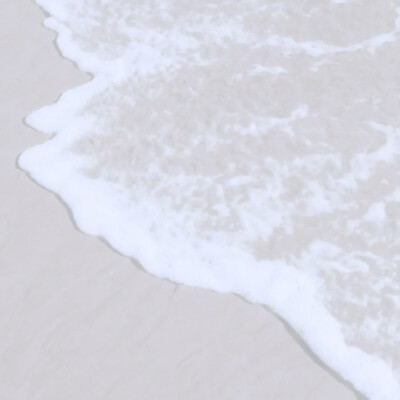 伦敦下雪那晚，那只逃走的波斯猫又回到了我的家，壁炉燃起的火焰疯长，落地钟的声响在回荡，热腾腾的红茶浸入我的身体，我们在酸涩的春天重逢。