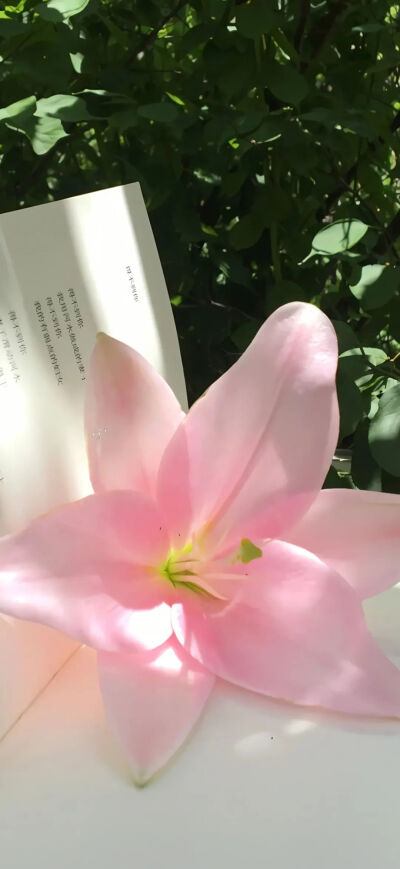 侵删