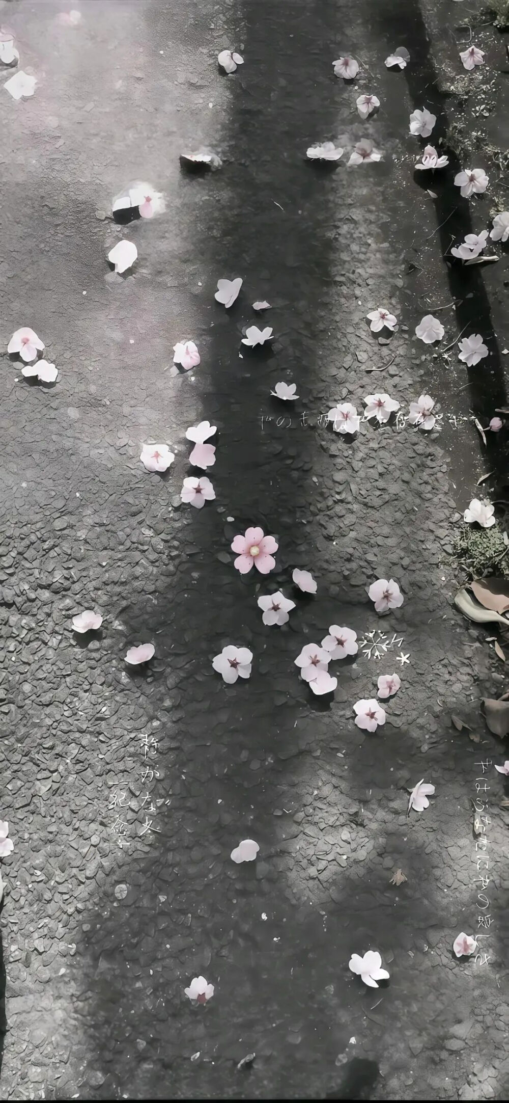 侵删