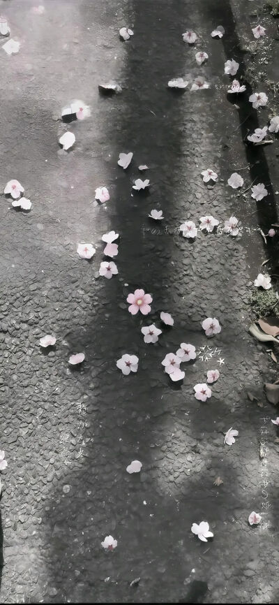 侵删