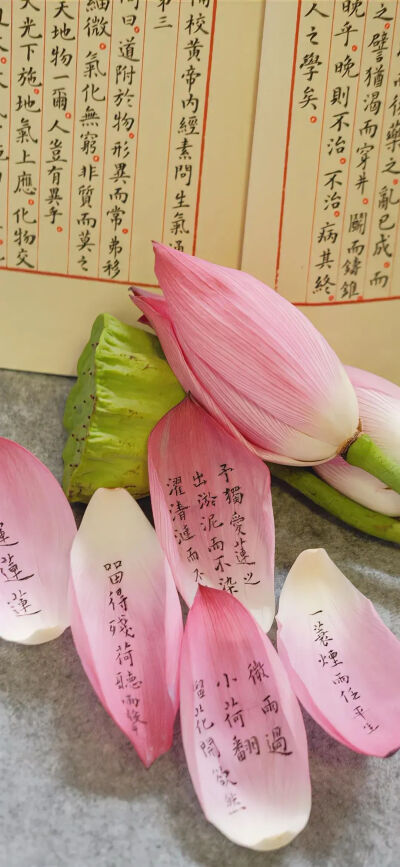 侵删