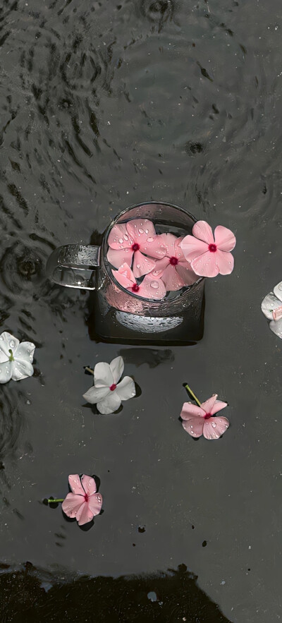 壁纸