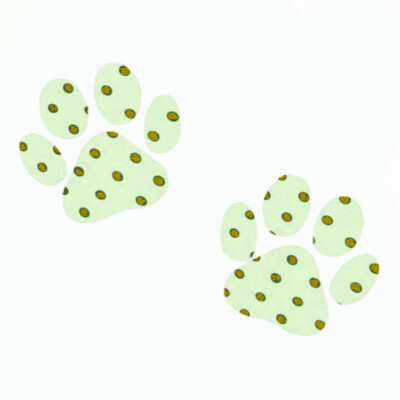 我刚吃了一个梨...你在...我心梨...