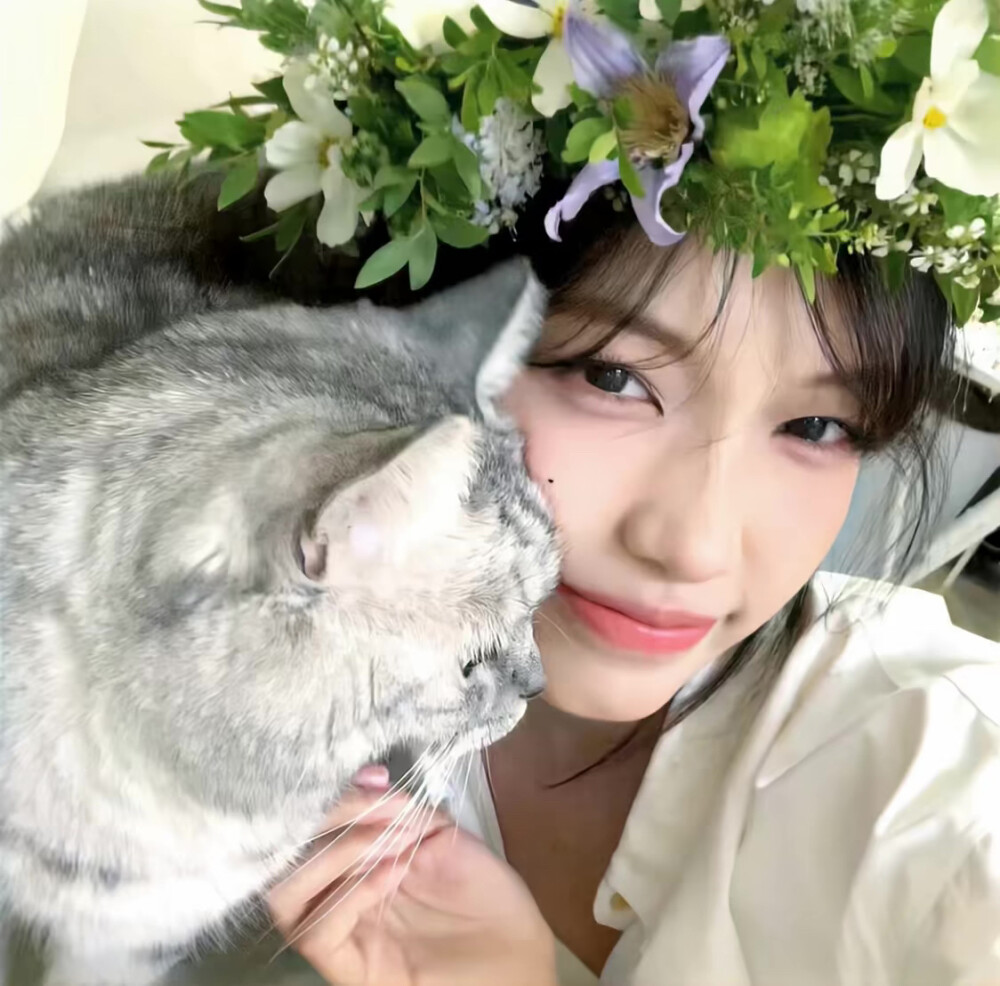 ins风优质女生头像