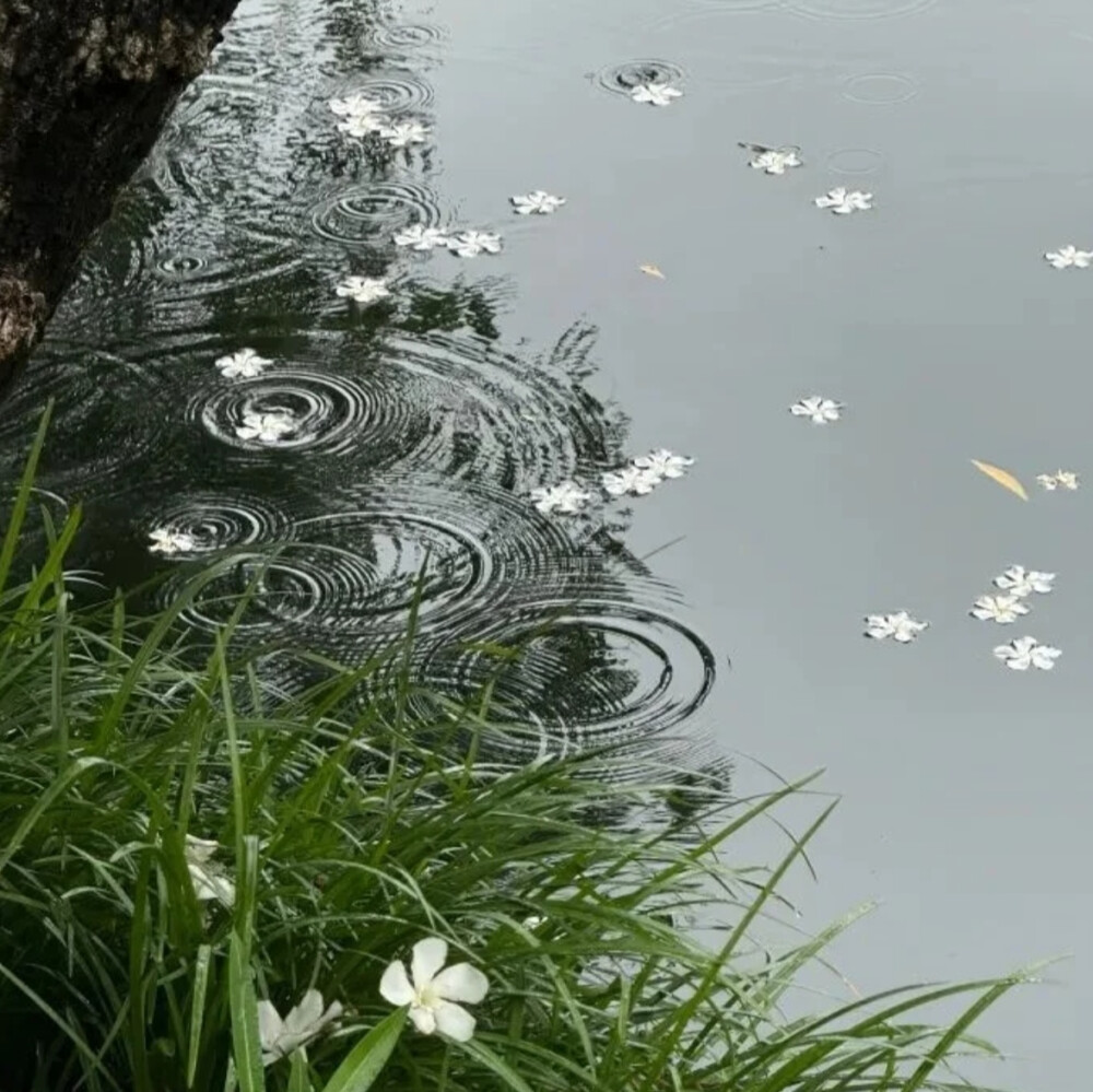 背景图