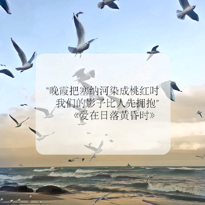 官宣龟龟@奶龙cp痞纪