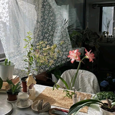 背景图