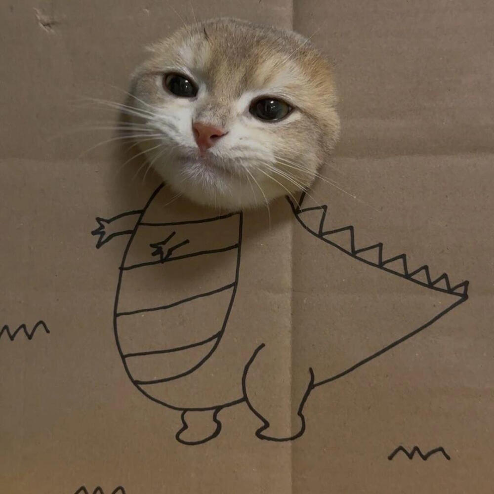 小猫发呆导致地球导致转动₍˄·͈༝·͈˄*₎◞ ̑̑