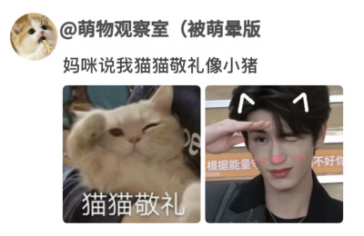 萌哟