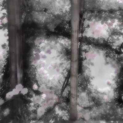 故事鮮豔