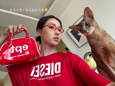 胡连馨