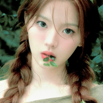 狗尾巴草