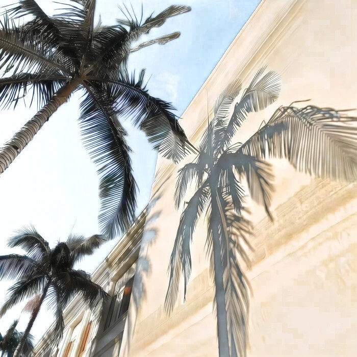 官宣龟龟@奶龙cp痞纪