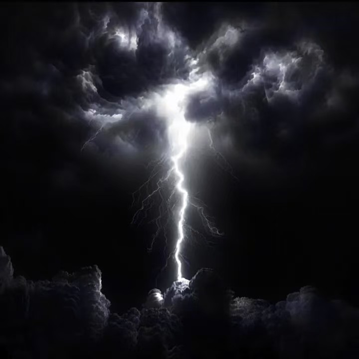 拜见树莓大王▄█▀█●