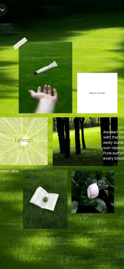 /
