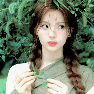 狗尾巴草