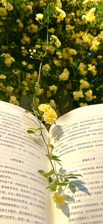 侵删