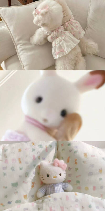/