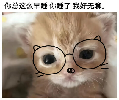 茂密积累