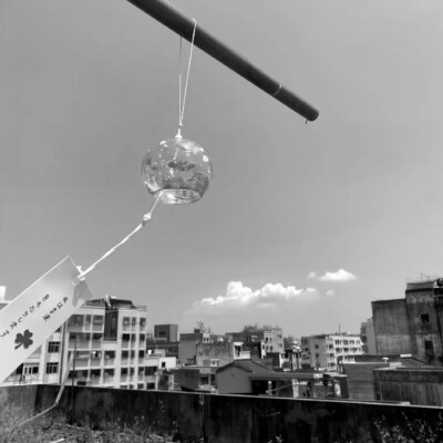 ₊⁺ ꒰১Cappuccino໒꒱ ⁺₊初恋味道.⊹₊˚
（上一条标签被吞了重发一遍）#文案薛柏 #雪允 Nieve_0126#库存