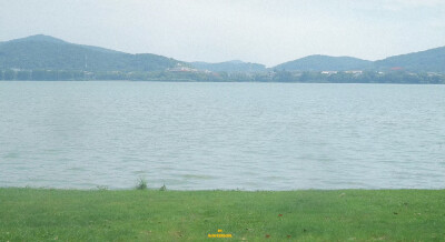 田栩宁 池骋