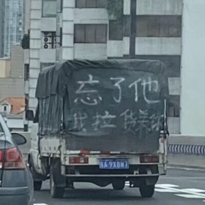 落日溺在云层里月光散落森林里 