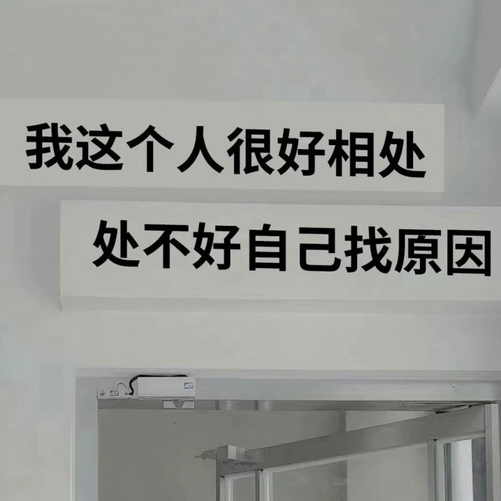 落日溺在云层里月光散落森林里 