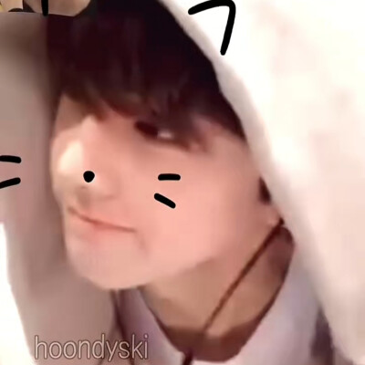 我爱我猪