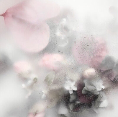 花時雨