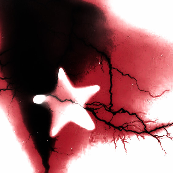 恋愛少女のキスは愛の鎮痛剤です․⁺ॱֺּ·-