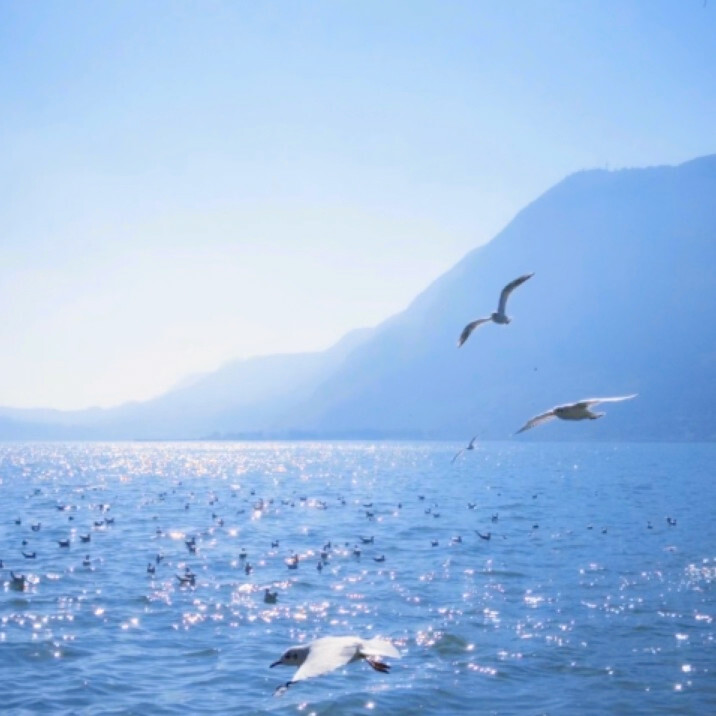 你的眼眶流出冷色调的雪落霜降