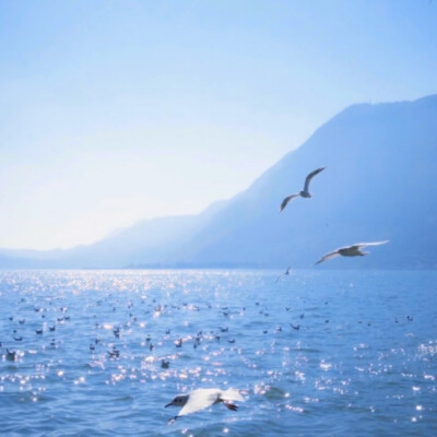 你的眼眶流出冷色调的雪落霜降