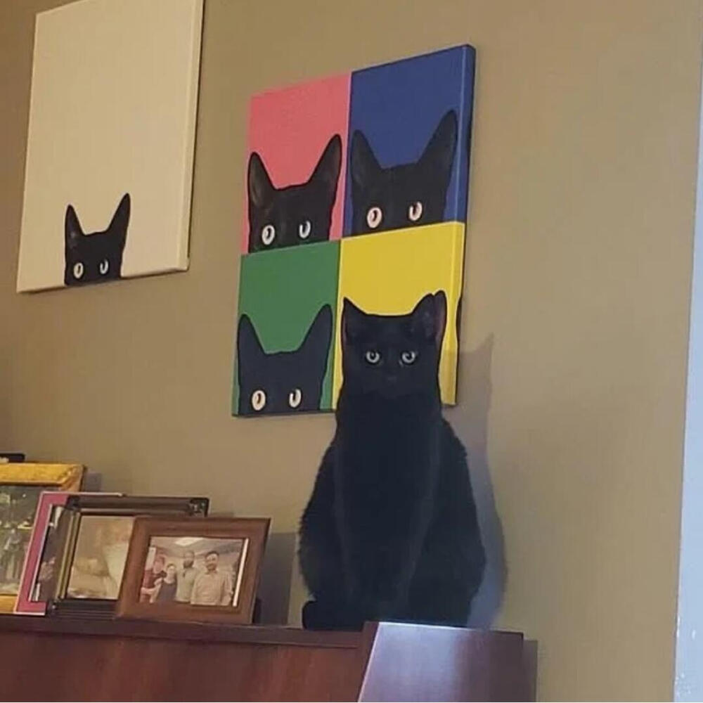 小猫发呆导致地球导致转动₍˄·͈༝·͈˄*₎◞ ̑̑