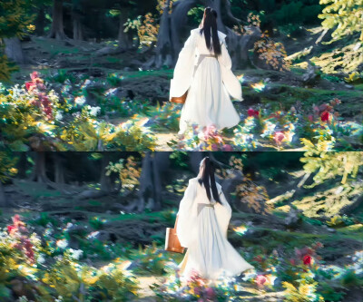 杨洋