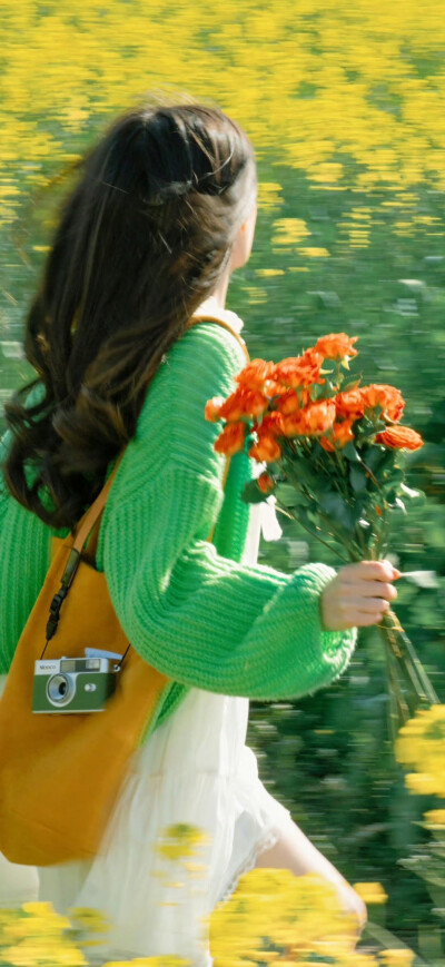 背景，春日，小清新