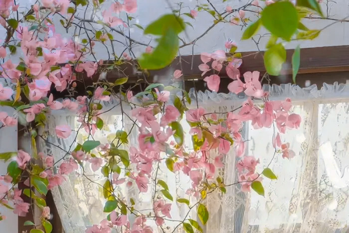 ✌︎˶╹ꇴ╹˶✌︎ 